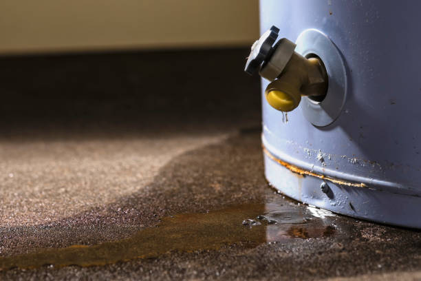 Best Residential water damage restoration  in Ketchum, ID