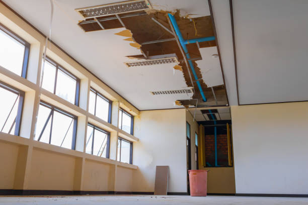 Best Ceiling water damage repair  in Ketchum, ID