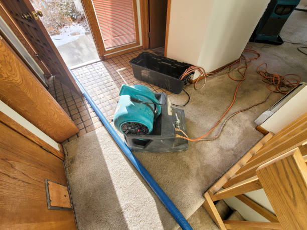 Best Professional water damage repair  in Ketchum, ID