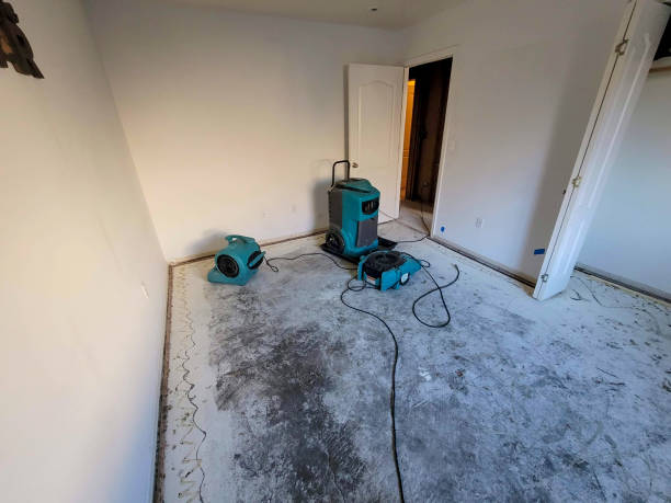 Best Basement water damage restoration  in Ketchum, ID