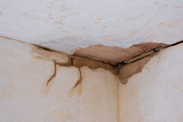 Best Flood damage cleanup  in Ketchum, ID