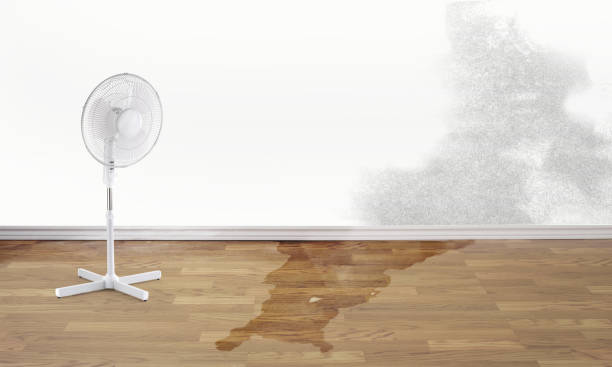 Best Water damage restoration cost  in Ketchum, ID