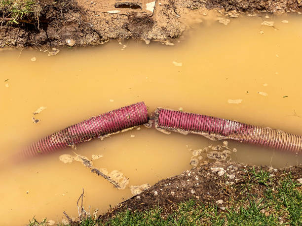  Ketchum, ID Water damage restoration Pros